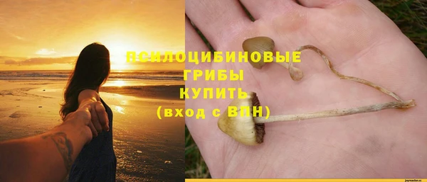 эйфоретик Кулебаки