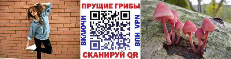 Галлюциногенные грибы мицелий  Купить  Бокситогорск 